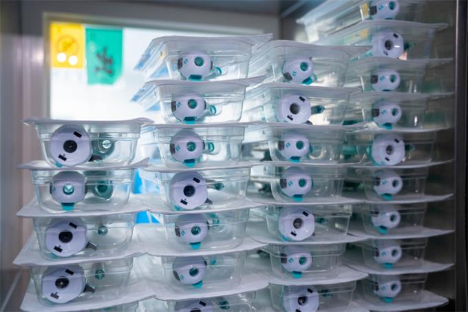 Trocar monouso di tipo Hasson da 12 mm certificato CE per chirurgia laparoscopica Surgsci Medical 5