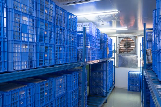 Il CE su misura ha segnato il trocar eliminabile di 12mm Hasson per ambulatorio laparoscopico 7