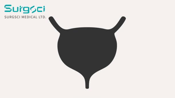 ultime notizie sull'azienda Classificazione clinica della tubercolosi della vescica. 0